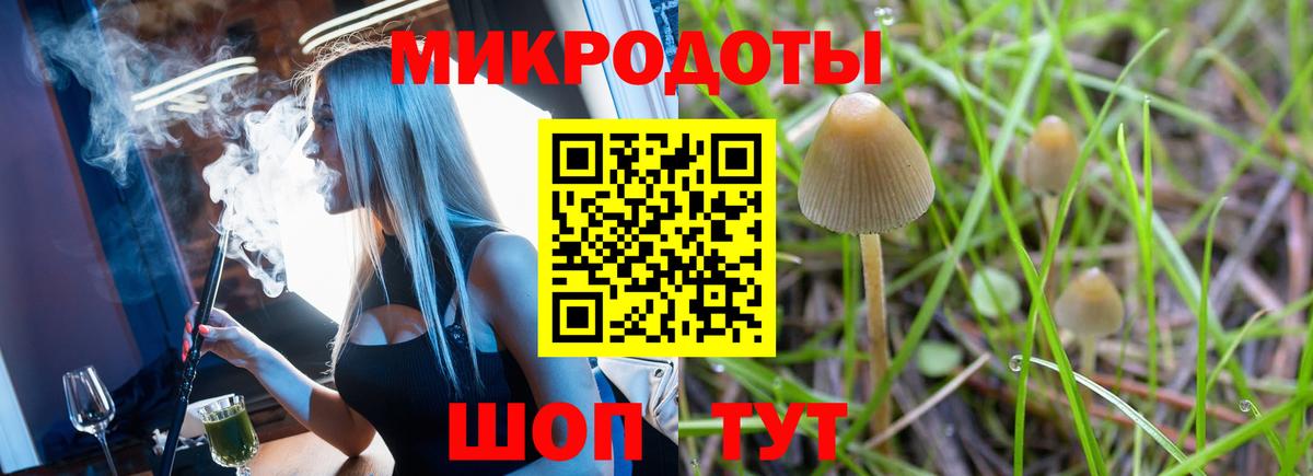 Псилоцибиновые грибы Psilocybine cubensis Зерноград